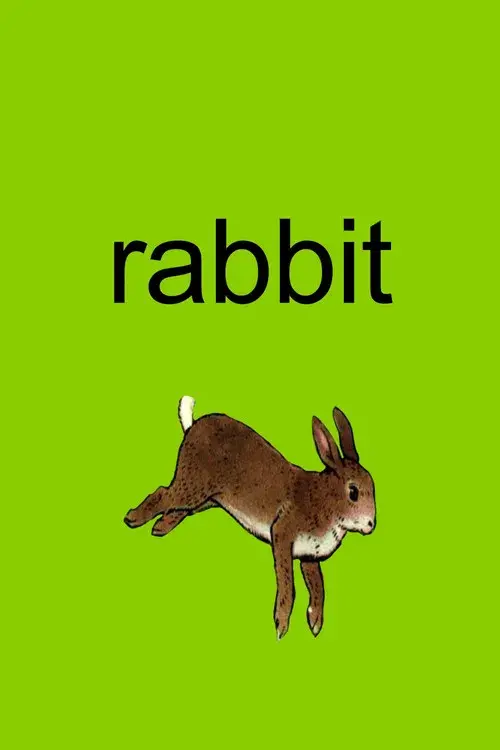 Rabbit