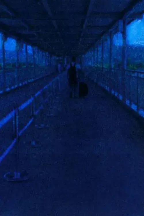 A Foreigner, I Came, A Foreigner, I Leave.