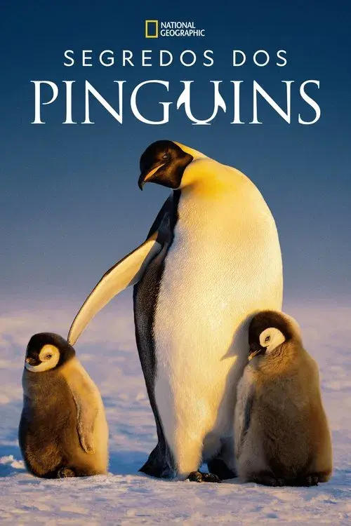 Segredos dos Pinguins