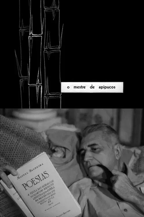 O Mestre de Apipucos