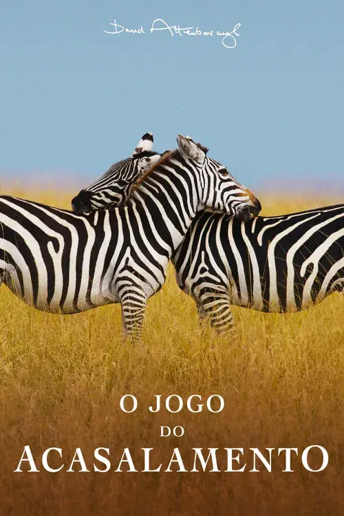 O Jogo do Acasalamento