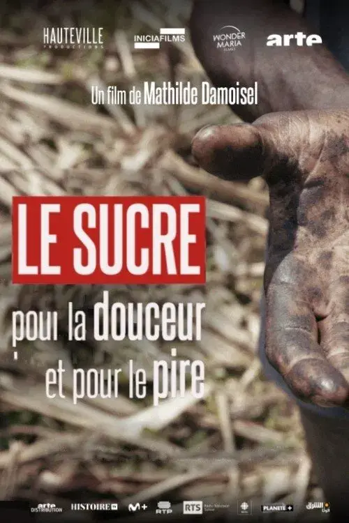 Le sucre, pour la douceur et pour le pire