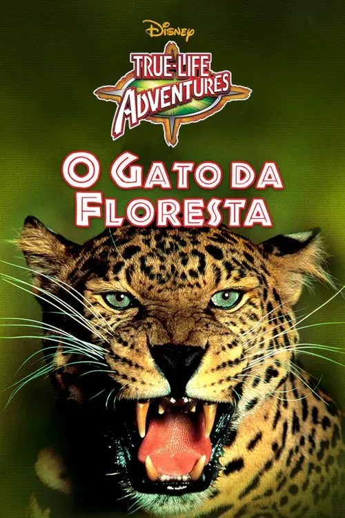 O Gato da Floresta