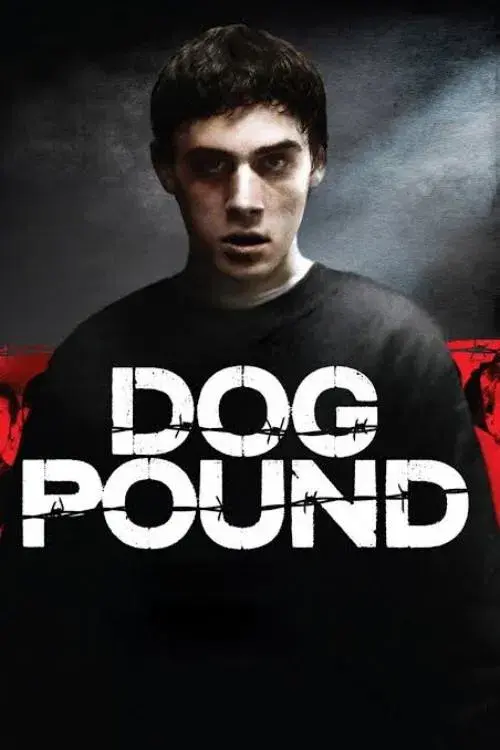 O Canil: Dog Pound