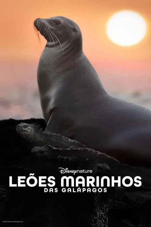 Leões-Marinhos de Galápagos