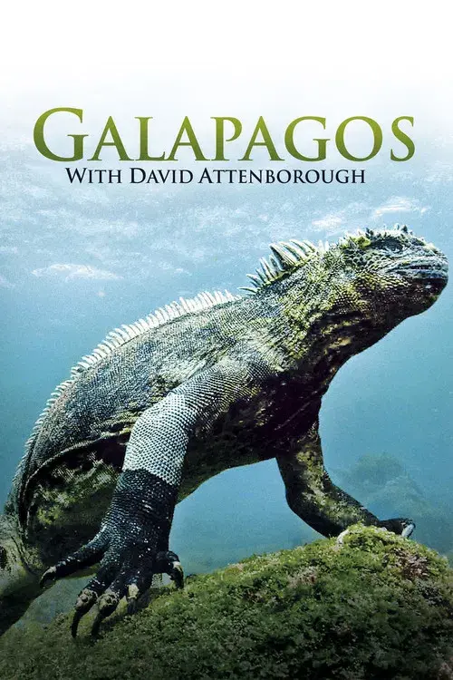 Galapagos 3D with David Attenborough