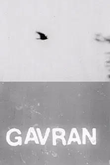 Gavran