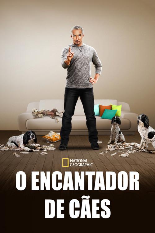 O Encantador de Cães
