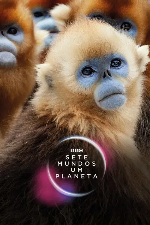 Sete Mundos, Um Planeta