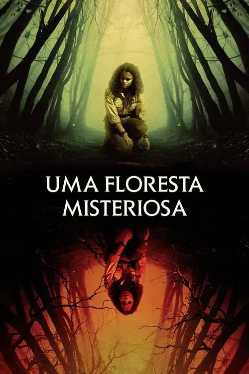 Uma Floresta Misteriosa