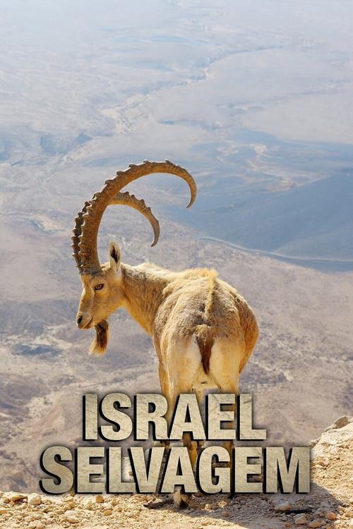 Israel Selvagem