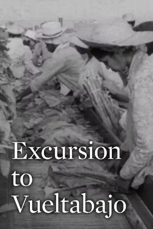 Excursión a Vueltabajo