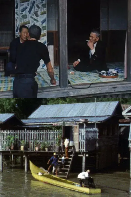 未帰還兵を追って・タイ編