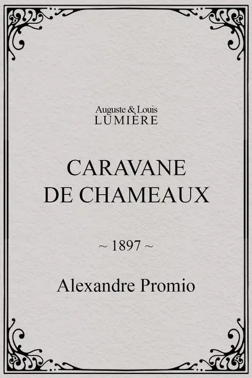 Caravane de chameaux