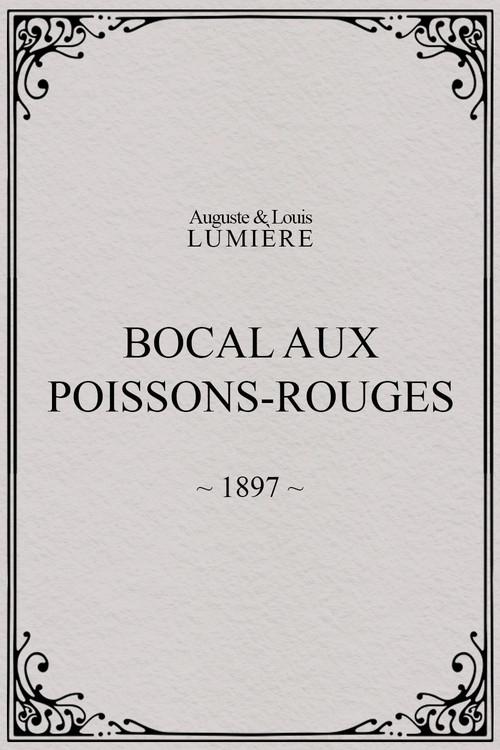 Bocal aux poissons rouges