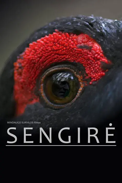 Sengirė