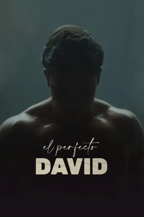 O Perfeito David