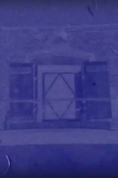 Diaphane, 27 janvier 2018, 8h08/12h34, Saint-Loup-de-Varennes, France