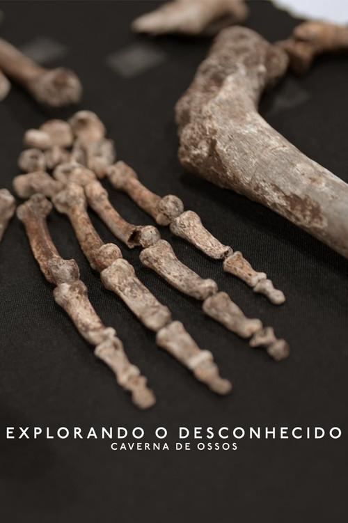 Explorando o Desconhecido: Caverna de Ossos