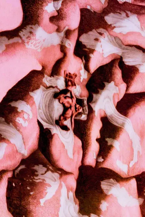 Den offentlige røst