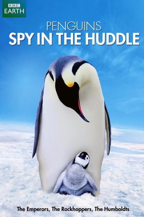 Penguins: Spy in the Huddle
