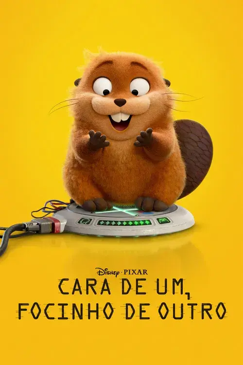 Cara de Um, Focinho de Outro