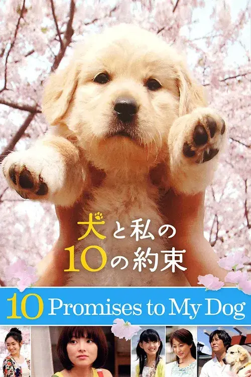 10 Promessas Para o Meu Cão