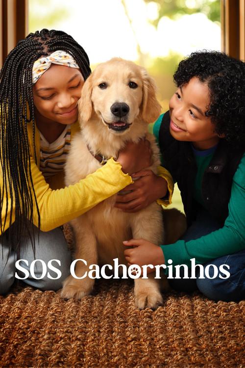 SOS Cachorrinhos