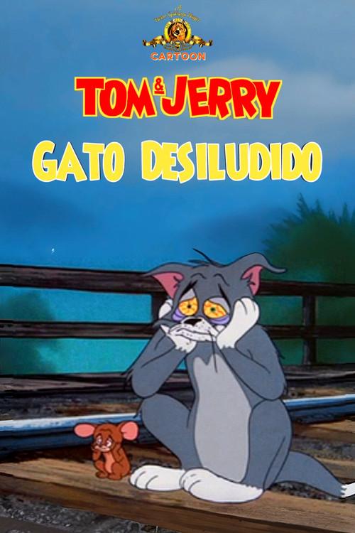 Gato Desiludido
