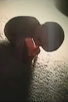 Der Puppenschänder II