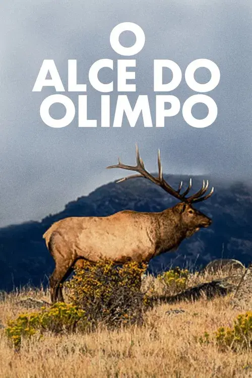 O Alce do Olimpo