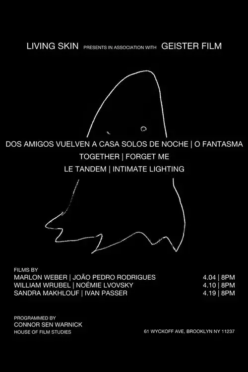 Dos amigos regresan a casa solos de noche