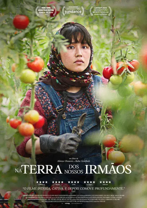 In the Land of Brothers