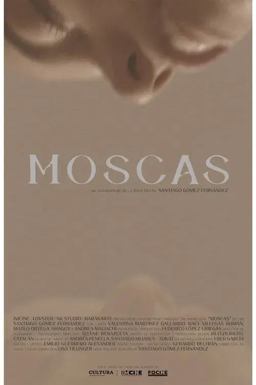 Moscas