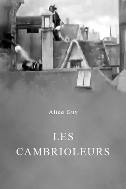 Les Cambrioleurs