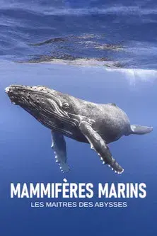 Mammifères marins, les maîtres des abysses