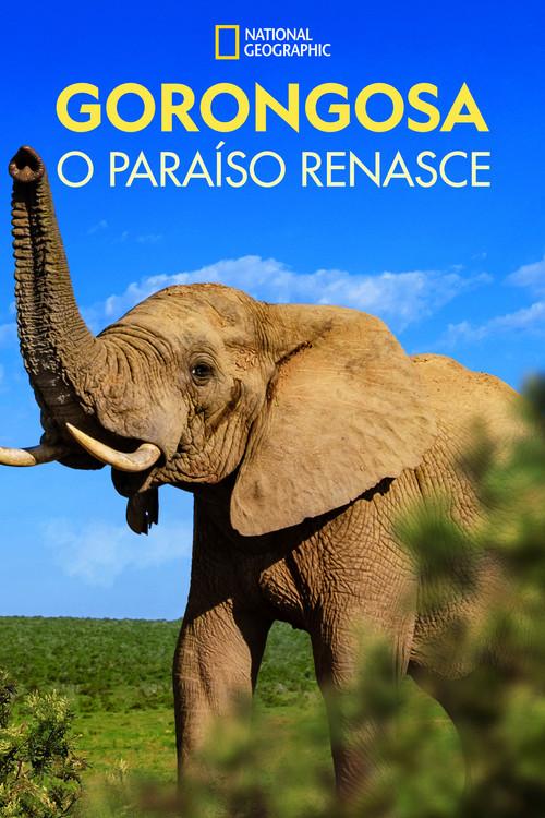 Gorongosa: O Paraíso Renasce
