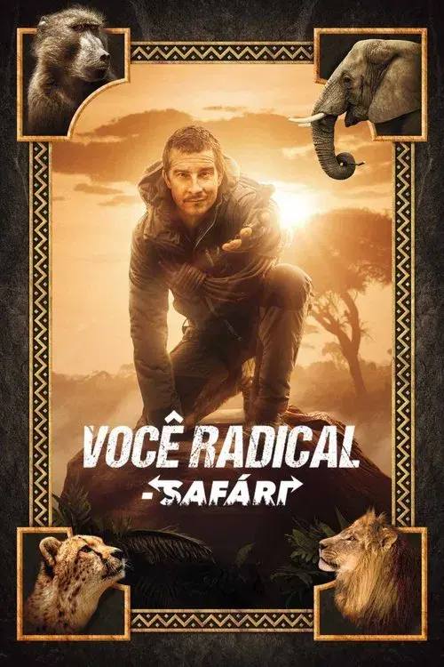 Você Radical - Safári