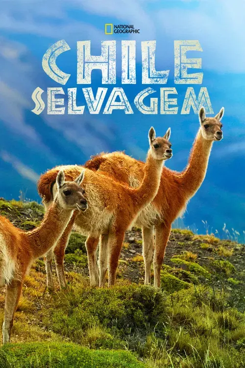 Chile Selvagem