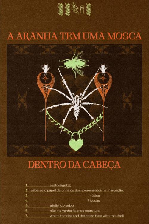 A aranha tem uma mosca dentro da cabeça