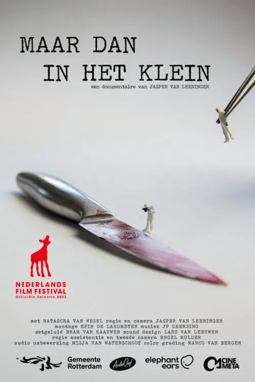 Maar dan in het klein