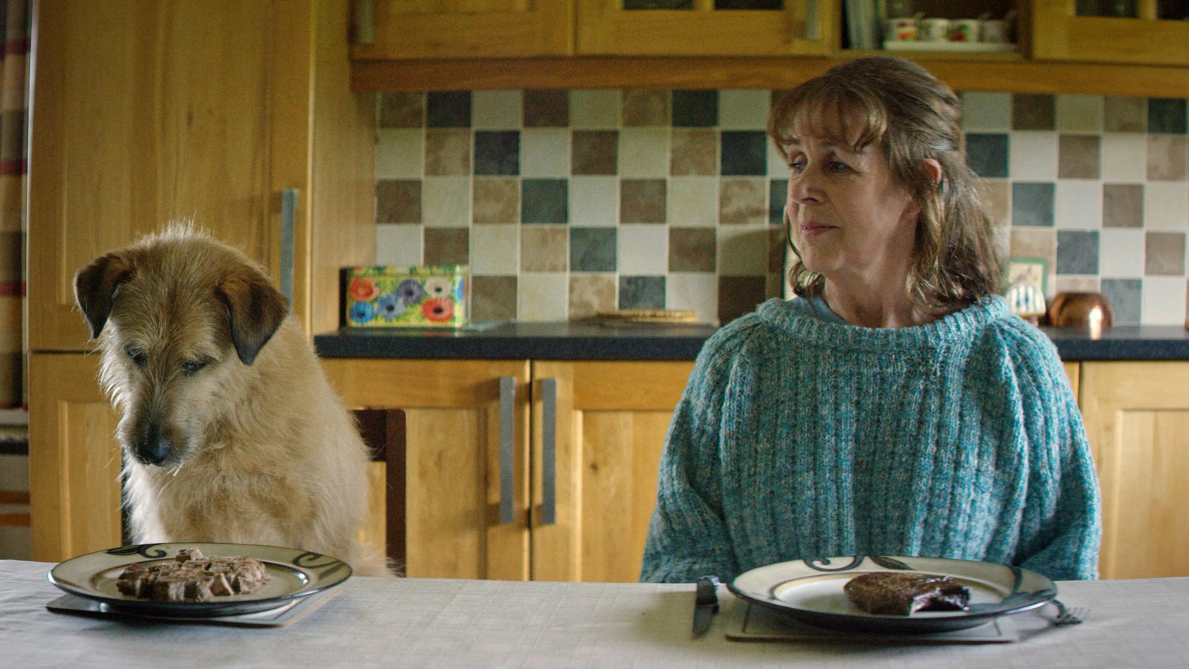 Meu Marido Virou um Cachorro