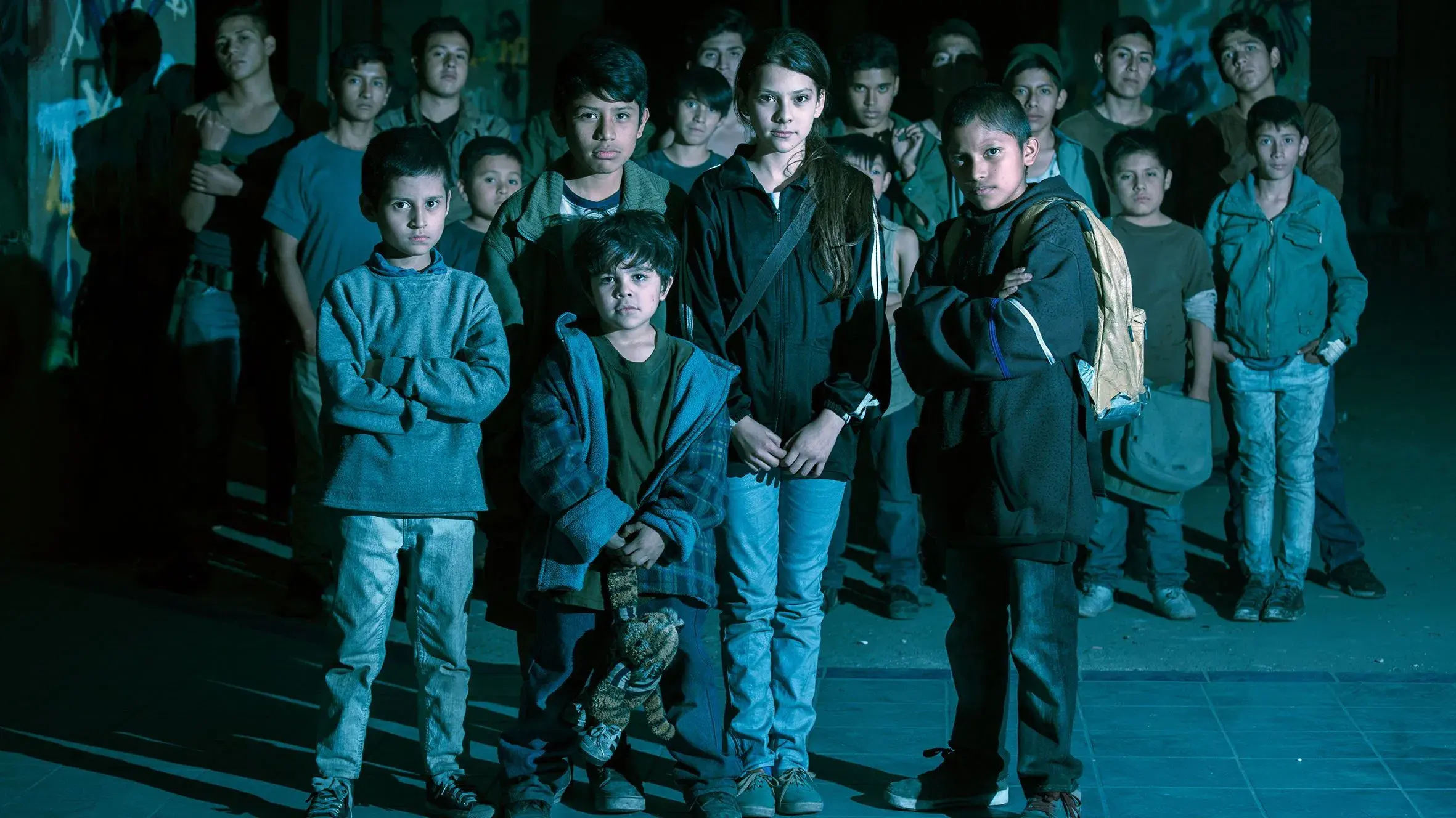 Os Tigres Não Tem Medo