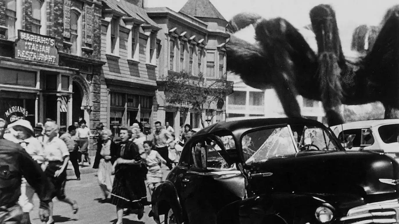 A Maldição da Aranha