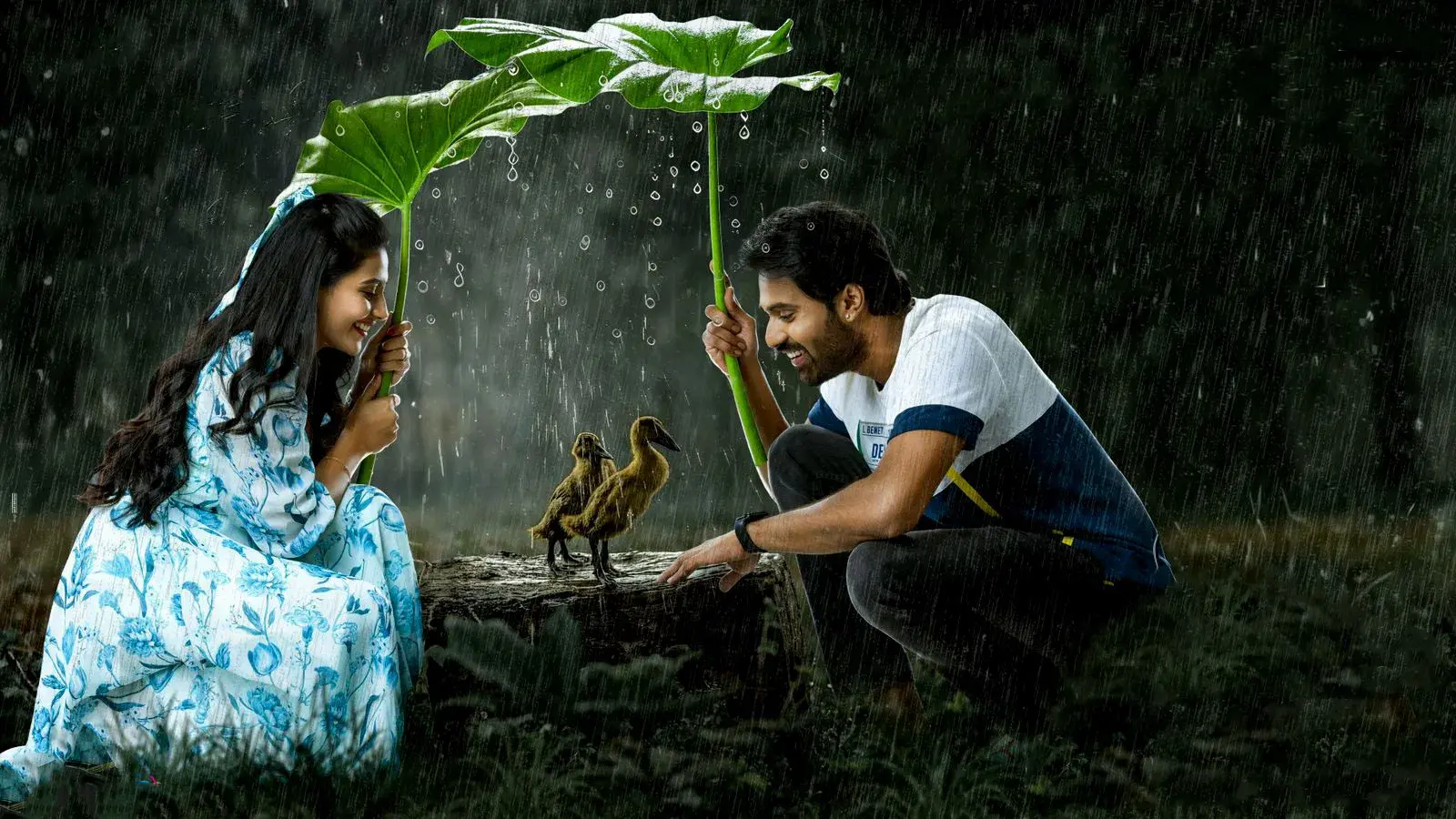 Voltando às Raízes