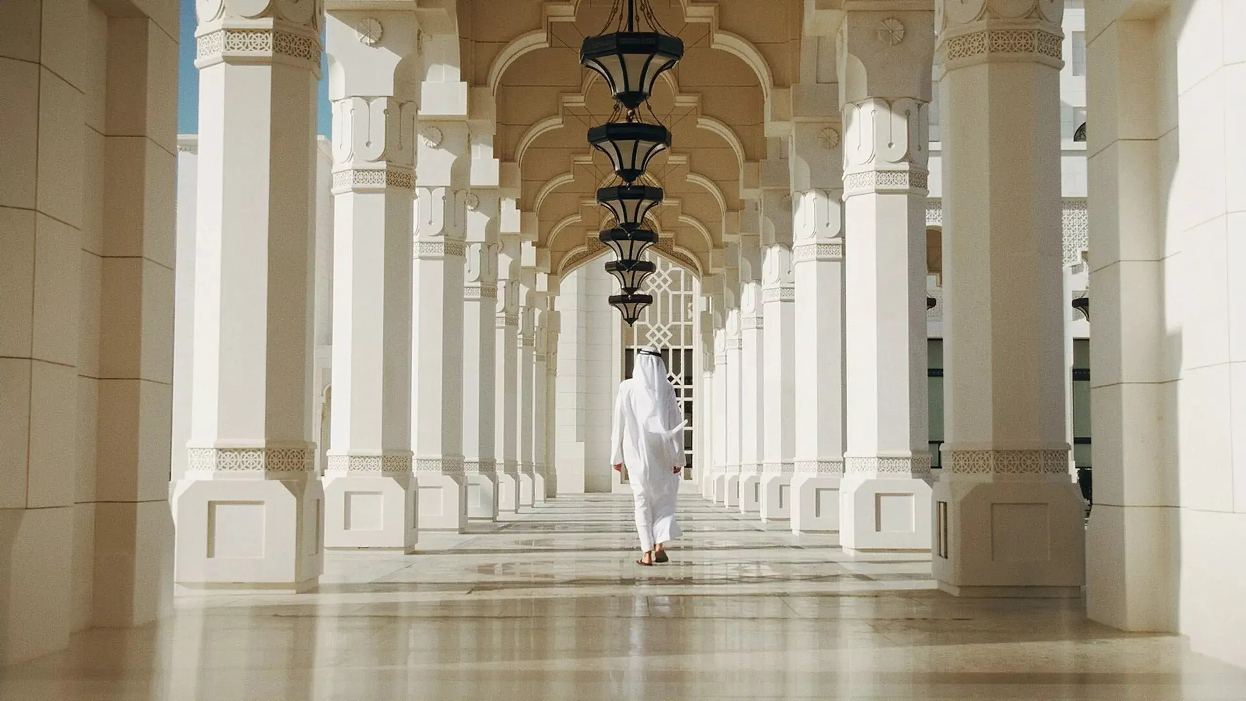 MBZ, la face cachée des Emirats arabes