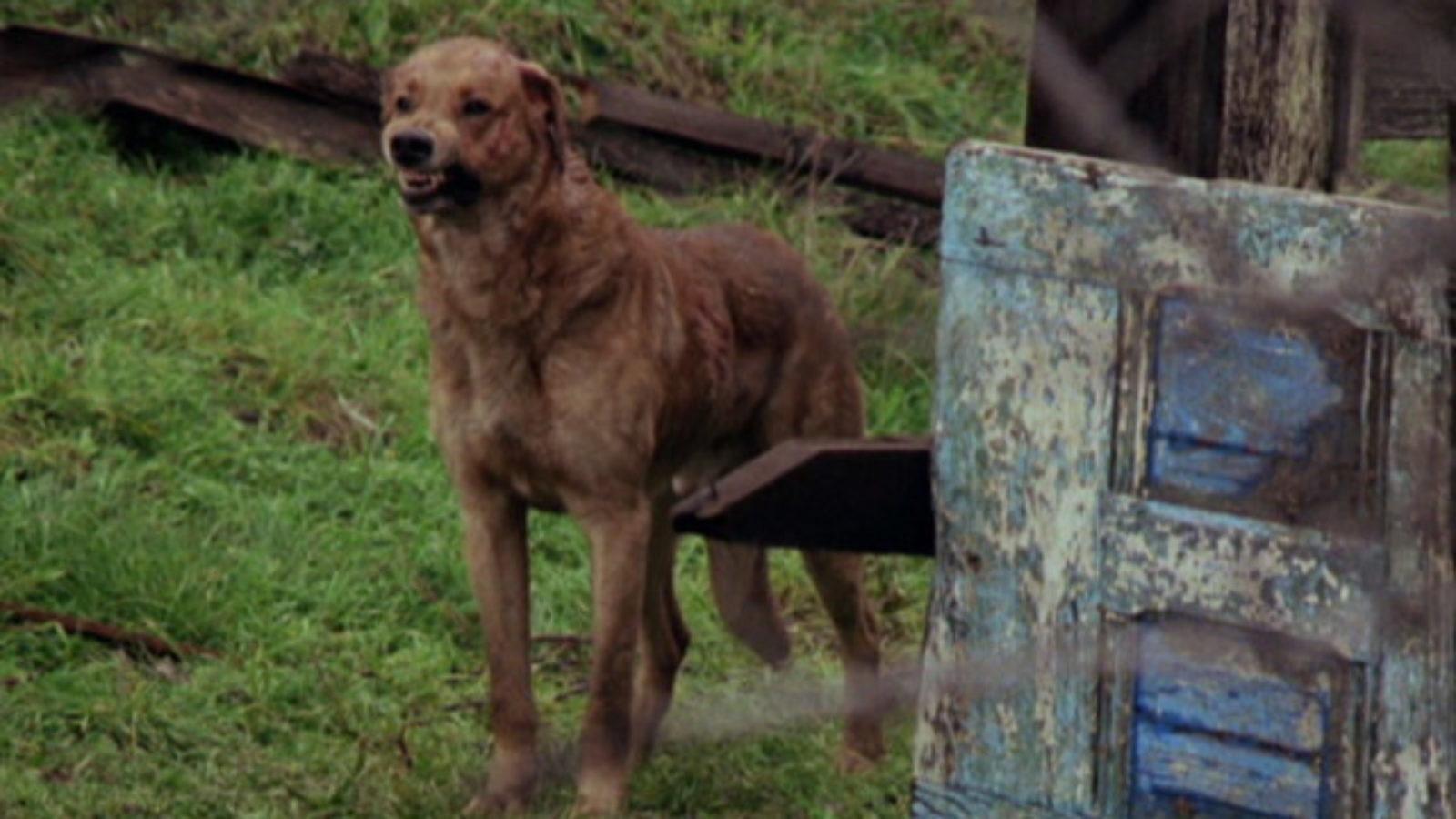 A Longa Noite de Terror