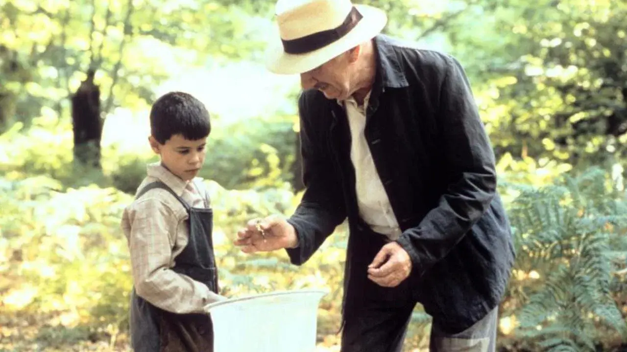 A Língua das Mariposas