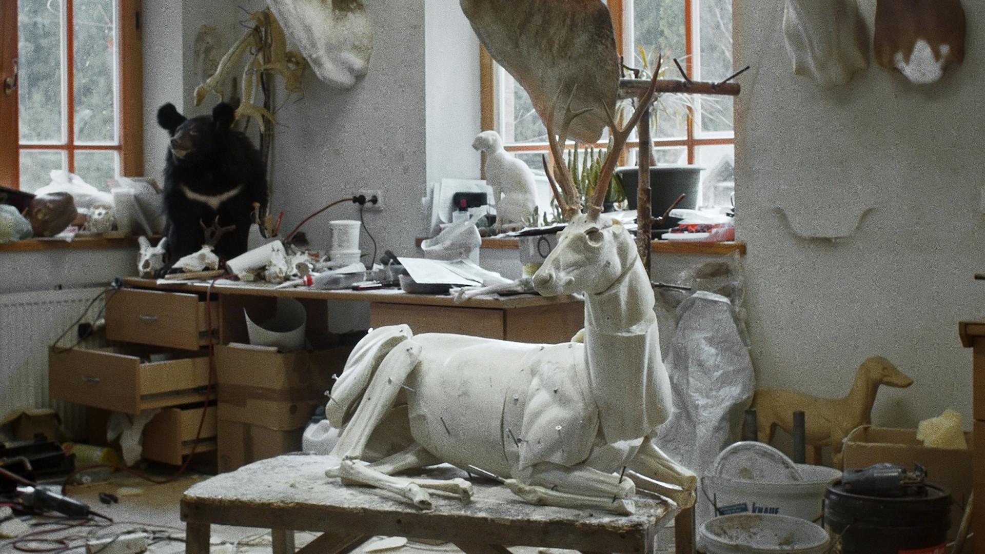 Animus Animalis (istorija apie žmones, žvėris ir daiktus)