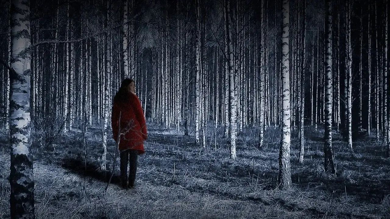 Em Busca da Minha Filha